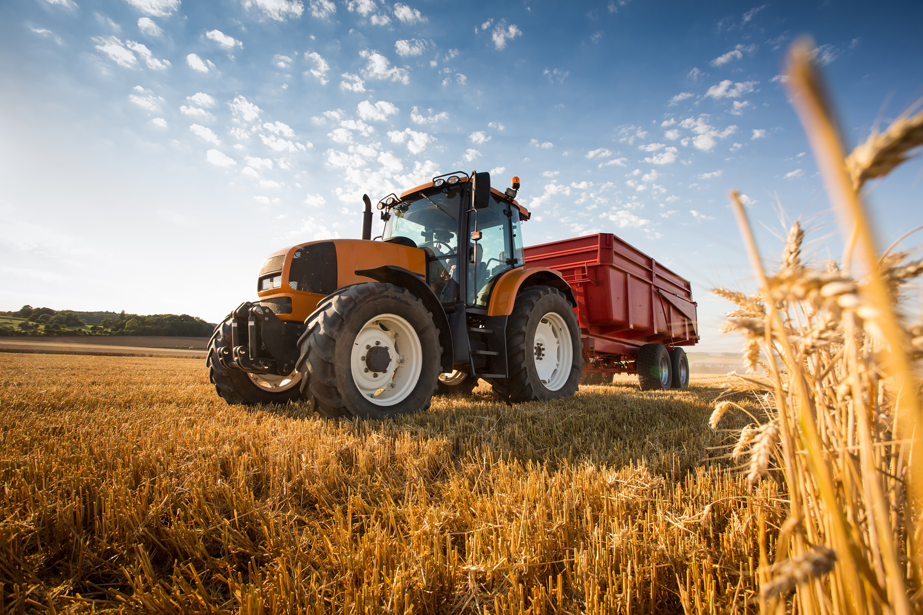 A força do campo com a segurança Servopa